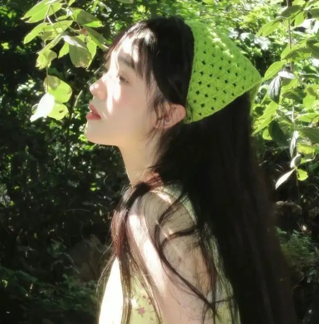 红色羊齿草的故乡