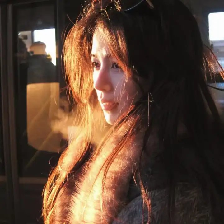 完美伴侣2025